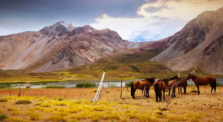 Fotobehang Andes near Las Lenas © JackF
