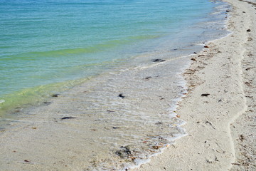 Clear water of Sanibel island in Florida, USA	