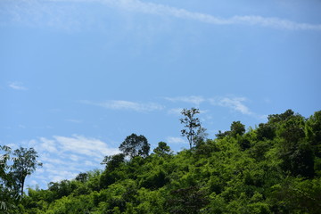 water, boat, river, canoe, lake, kayak, nature, rafting, people, landscape, fishing, summer, sport, kayaking, trees, green, paddle, canoeing, recreation, sea, leisure, travel, sky, raft, vacation, cou