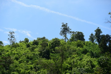Group rowing on river