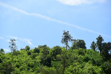 water, boat, river, canoe, lake, kayak, nature, rafting, people, landscape, fishing, summer, sport, kayaking, trees, green, paddle, canoeing, recreation, sea, leisure, travel, sky, raft, vacation, cou