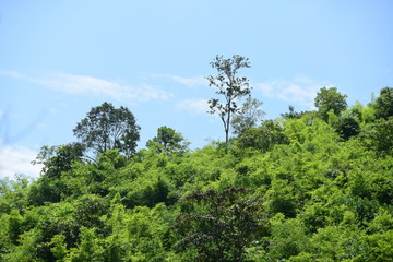 water, boat, river, canoe, lake, kayak, nature, rafting, people, landscape, fishing, summer, sport, kayaking, trees, green, paddle, canoeing, recreation, sea, leisure, travel, sky, raft, vacation, cou