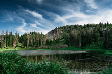 Picture of the medicine bow mountain range in Centennial wyoming.