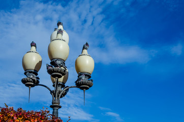 Fototapeta na wymiar Pigeons sit on a lamppost.