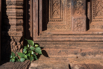 The wonderful Banteay Srei temple in Siem Reap, Cambodia 