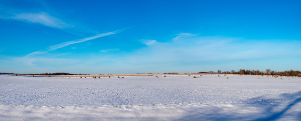 Obraz premium Snowy field with hay bales in southern Minnesota near Rochester