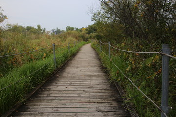 A boardwalk at a Nature Center that stretches through a wildlife refuge and marsh