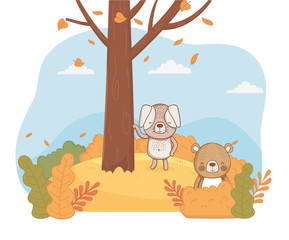 Obraz na płótnie Canvas cute animal foliage hello autumn
