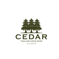 Ilustration Rustic Retro Vintage Evergreen, Pines, Spruce, Cedar trees logo design