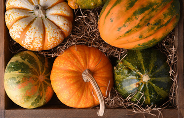 High angle closeup shot of a group of autumn gourds, squash and pumpkins in a wood box..
