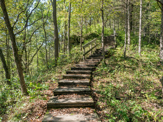 Stairs on trail at Whitewater State Park, Winona, Minesota, USA in fall