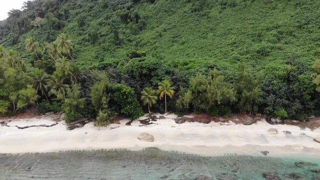aerial view of a tropical island with clear water palm trees and coral reef in Vanuatu, South pacific