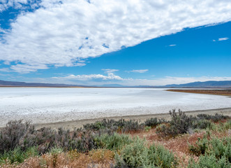 Salt flat at Soda Lake, Carizzo Plain National Monument on sunny spring day, Kern County, California, Central Valley