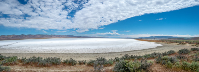 Salt flat at Soda Lake, Carizzo Plain National Monument on sunny spring day, Kern County, California, Central Valley