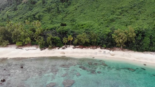 aerial view of a tropical island with clear water palm trees and coral reef in Vanuatu, South pacific