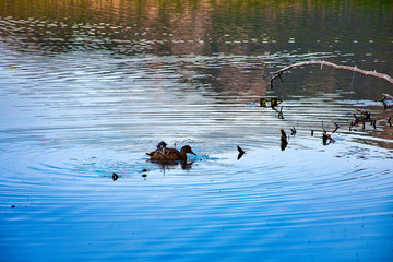 Rocky Mountain National Park