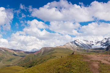 Obraz premium Mountain summer landscape. Snowy mountains and green grass. Peak Karakol Kyrgyzstan.