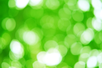 Beautiful natural abstract blur background. Green bokeh light form tree with bright summer sunlight in the garden.