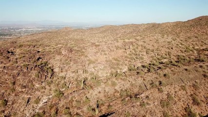 Aerial footage over Saguaro Cactus field in Sonora desert, Arizona Drone view fly slowly over Saguaro Cactus in Sonora desert, Arizona, Usa