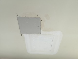 Plasterboard ceilings have not been painted white