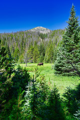 Rocky Mountain National Park