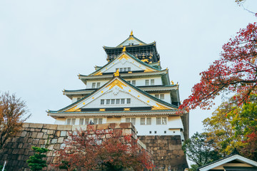 Fototapeta premium Osaka Castle in autumn season ,one of the most famous landmark in Japan.