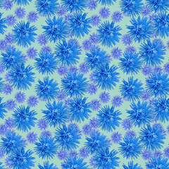 Aster. Illustration, texture of flowers. Seamless pattern for continuous replicate. Floral background, photo collage for production of textile, cotton fabric. For use in wallpaper, covers