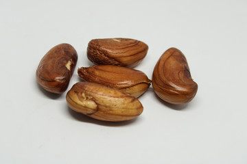 the seed of jack fruit 