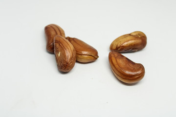 the seed of jack fruit 