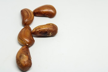 the seed of jack fruit 