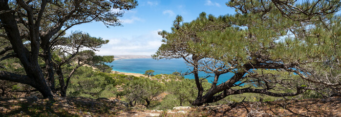 Torry Pines hike, near Ranch at Bechers Bay Pier on a sunny spring day, Santa Rosa Island, Channel Islands National Park, Ventura, California, USA
