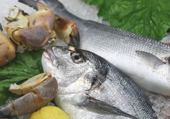 fresh bream fish and crab claw