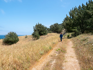 Obraz premium Water Canyon Beach, Coastal Road, near Ranch at Bechers Bay Pier on a sunny spring day, Santa Rosa Island, Channel Islands National Park, Ventura, California, USA