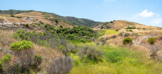 Water Canyon Beach, Coastal Road, near Ranch at Bechers Bay Pier on a sunny spring day, Santa Rosa Island, Channel Islands National Park, Ventura, California, USA