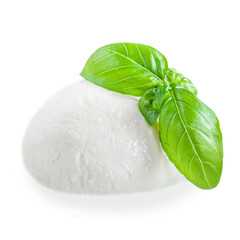 Mozzarella cheese isolated. Italian buffalo milk  cheese with Basil leaf on white background, top view