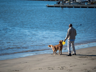 Man with frisbee and dog ball launcher playing with golden retriever on beach