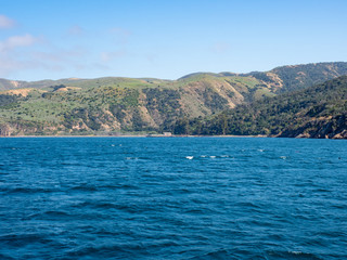 Naklejka premium Santa Cruz Island, as seen from the ocean, Channel Islands National Park, Ventura, California, USA