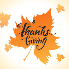 Calligraphy of Thanksgiving on maple leaves background can be used as greeting card design.