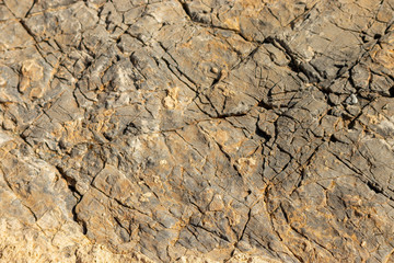 cracked rock texture