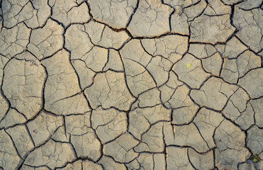 Climate change and drought land. Water crisis. Arid climate. Crack soil. Global warming. Environment problem. Nature disaster. Dry soil texture background. Dry and cracked skin need moisture concept.
