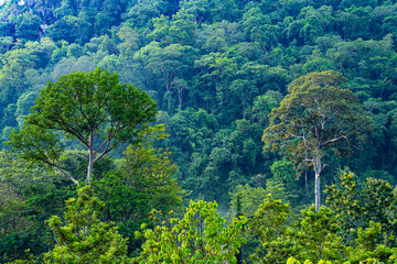Khao Yai National park towards mountain ranges and hills