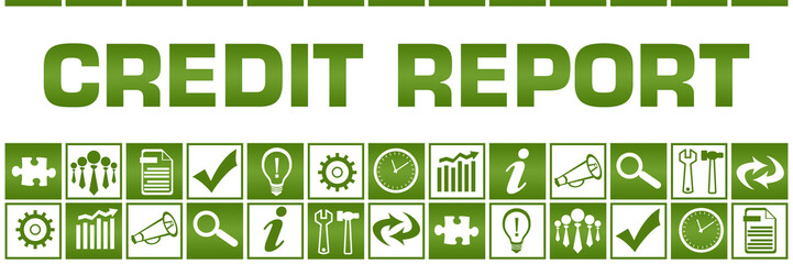 Credit Report Green White Box Grid Business Symbols 