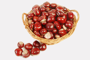 Chestnut fruits in a wicker basket on a white background. Isolated on white. Copy space.
