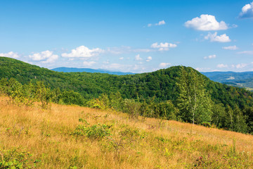 grassy hills of mountain ridge. beautiful nature background