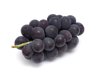 Fototapeta premium ブドウ フジミノリ