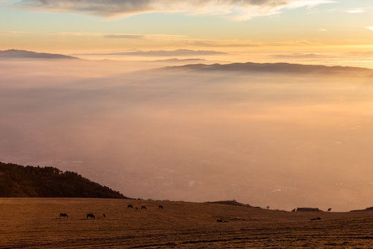 Some horses silhouettes on top of Subasio mountain, over a sea of fog filling the Umbria valley at sunset