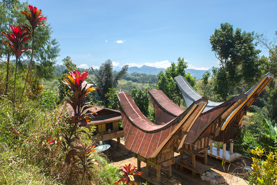Traditional Alang rice barn, Rantepao, Tana Toraja, South Sulawesi, Indonesia&nbsp;. Alang  houses  have a distinguishing boat-shaped.