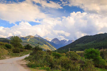 Fototapeta na wymiar Country road high in the mountains. Tall trees, snowy mountains and white clouds on a blue sky. Kyrgyzstan Beautiful landscape.