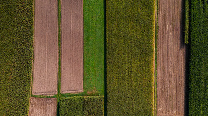 Colorful Pattern of Farming Fields. Top Down Aerial Drone View
