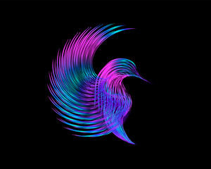 Colored, bright bird on a black background, abstraction with lines, vector illustration, 4k